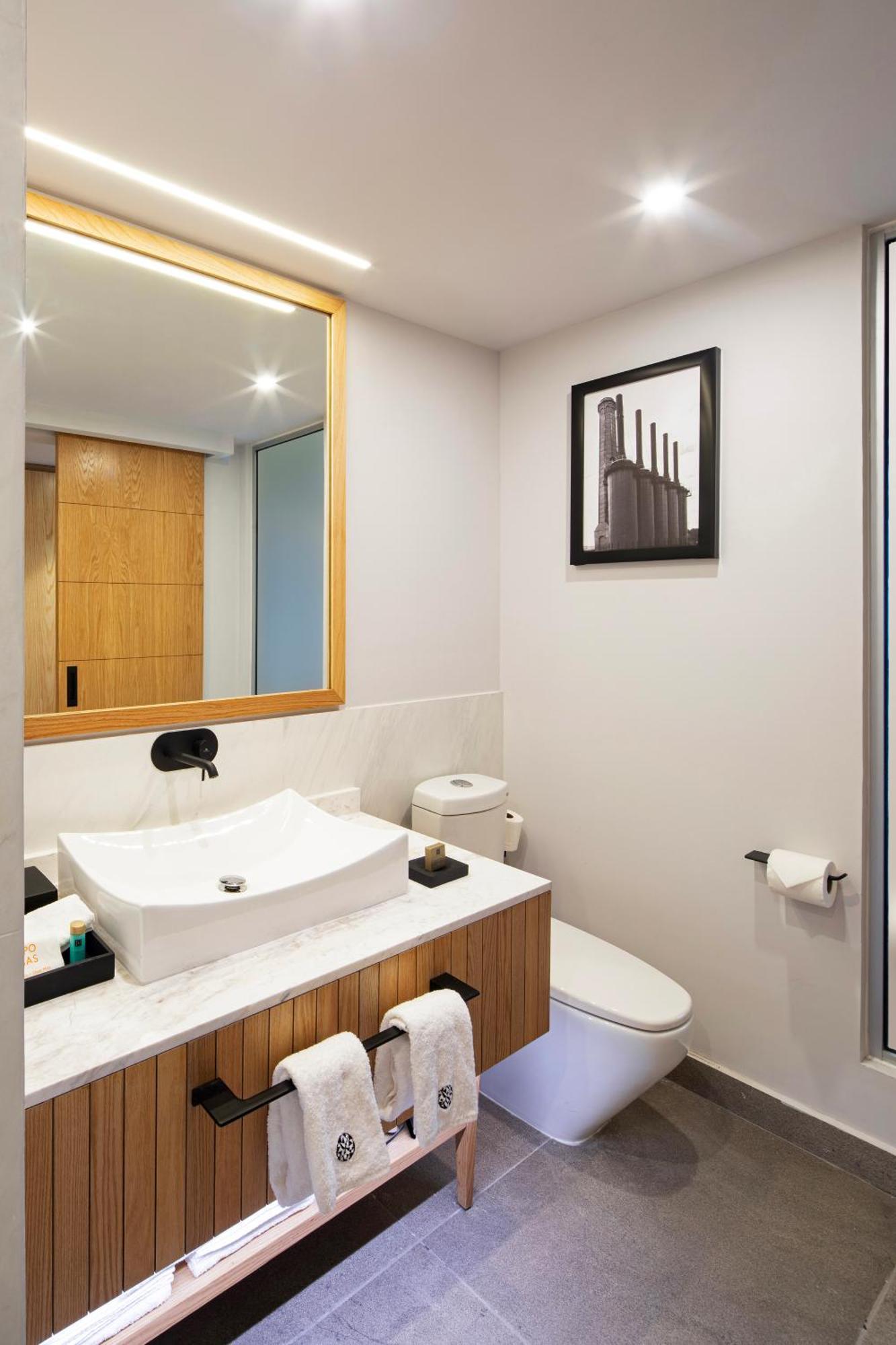 Hotel Galeria Plaza Monterrey Extérieur photo Bathroom